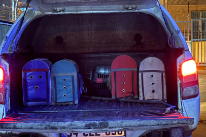 "Horoz Dövüşü" Operasyonu