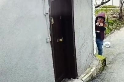 Kamerayı Görünce Elleriyle Yüzünü Sakladı, Kapkaç Yaptı