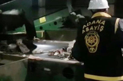 Kan Donduran Olay: Çöp Ayrıştırırken Bebek Cesedi Buldular!