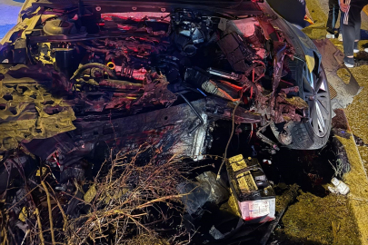 Otomobil, Refüjdeki Ağaca Çarparak Durabildi