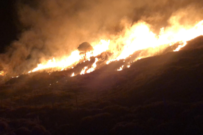 Gökçeada'da Yangın Korku Yarattı