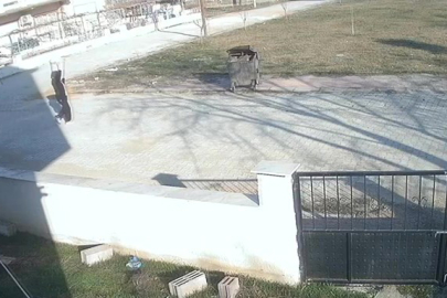 Çöp Konteyneri İçerisinde Ayakları İple Bağlanmış Köpek Buldu