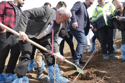 Kadriye Mahallesi'nde Ahududu Üretimi Başladı