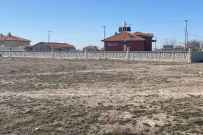 Konya'da 2 Yaşındaki Rana, 10 Köpeğin Saldırısı Sonucu Öldü!