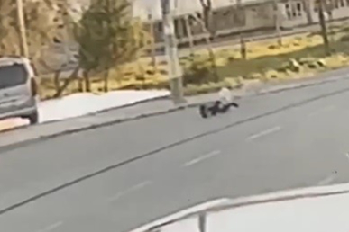 Sokakta Yürüyen Çocuğa Sokak Köpeği Aniden Saldırdı