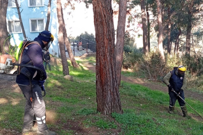 Gemlik'de Yeşil Alan Bakım Çalışmalarına Hız Kesmeden Devam Ediyor