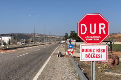 Sahipli köpek kuduz çıktı! Bölge 6 ay karantinaya alındı