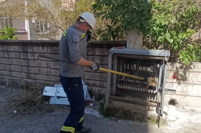 Manavgat'ta Elektrik Panosuna Giren Kedi Telef Oldu