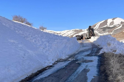 Köy Yoluna Çığ Düştü