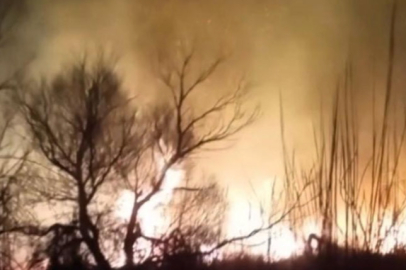 Kuş Cenneti’nde Yangın