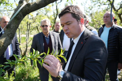 Osmangazi'de Don Felaketi: Başkan Aydın’dan Tarlalara Geçmiş Olsun Ziyareti