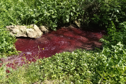 Gören bir daha bakıyor, bu dereden turşu suyu akıyor
