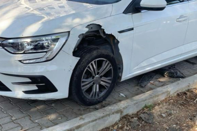 Domuzlar Park Halindeki Otomobili Parçaladı
