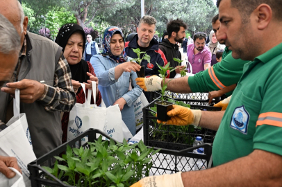 Yıldırım Belediyesi kendi serasında yetiştirdiği 50 bin çilek, domates, süs biberi ve salatalık fidesini vatandaşlara dağıttı