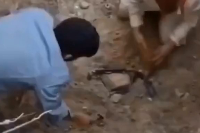 Akılalmaz Olay! Bursa'da Ölen Köpekleri Mezardan Çıkarmaya Çalıştılar