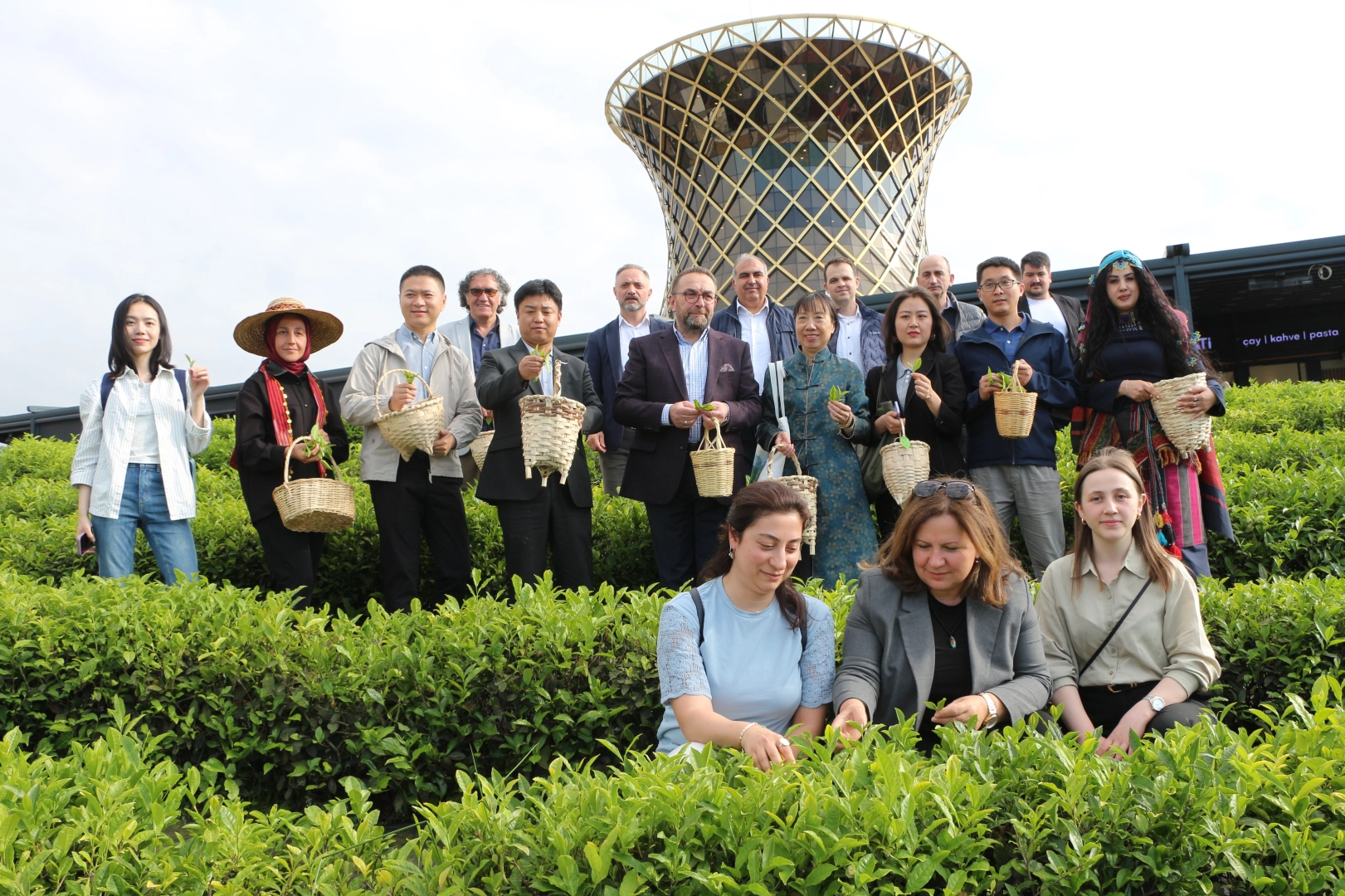 Çin'den gelen akademisyenler Rize'de çay topladı