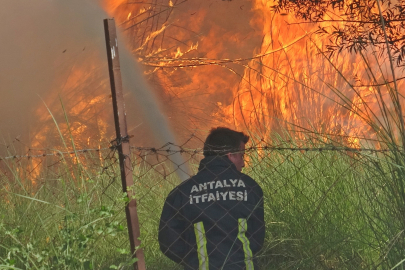 İtfaiye erleri bir adım bile geri atmadı, yangının yerleşim yerine sıçramasını önledi