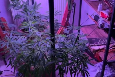 Evini Kenevir Serasına Çevirmiş!