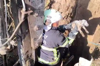 Kuyuda mahsur kalan yavru köpeği itfaiye ekipleri kurtardı