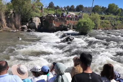 Uçan Balıkları İzlemeye Geldiler...