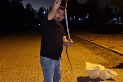 Yılanlara Fısıldayan Adam!