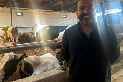 Kurbanlık Hayvanlar Tükeniyor