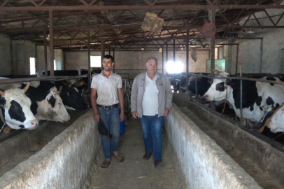 Kurbanlık Alırken Dikkat!