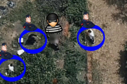 İznik'te 17 farklı suçtan aranan hükümlü kaçmak isterken bahçede jandarma tarafından yakalandı