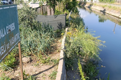 Tüpçü Olmasa Ölüyordu...