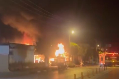 Bodrum'da Yangın: 3 Milyon Liralık Zarar