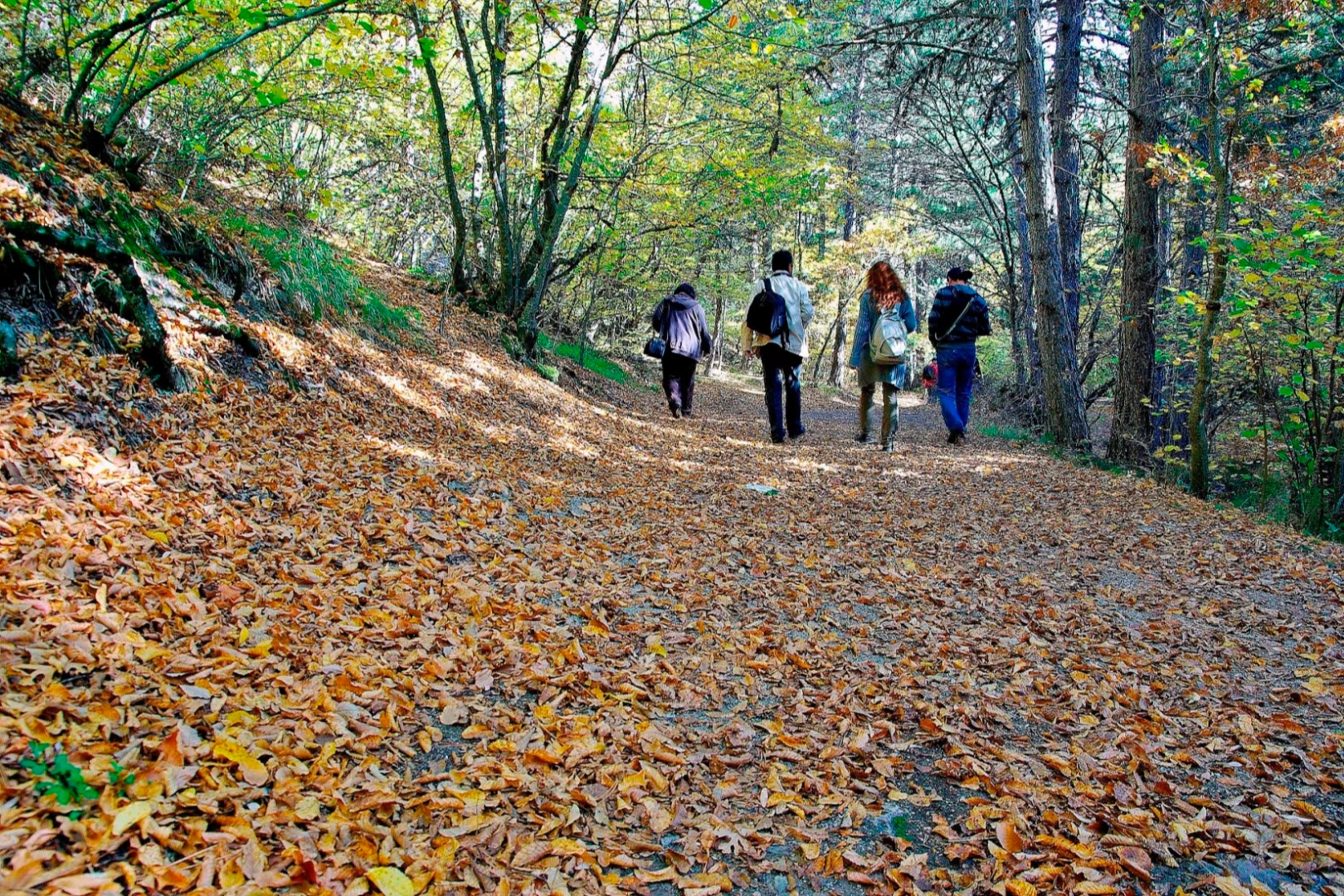 Son dakika! Ormanlık alanlara girişler yasaklanıyor! İşte fotoğraflar!