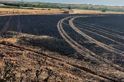 30 Dönüm Ekili Alan Kül Oldu