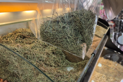 İnternette satılan zayıflama vaatli çaylara dikkat