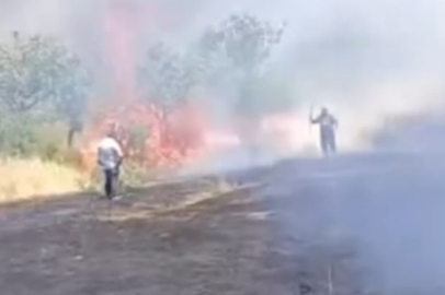 Çay İçmek İsterken 100 Fıstık Ağacı Küle Döndü