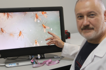 Manisa tropik hastalıklarla karşı karşıya