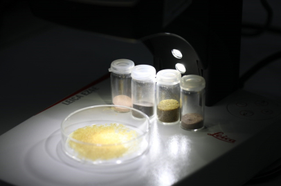 Bursa Teknik Üniversitesinden gıda endüstrisine bitkisel hamle