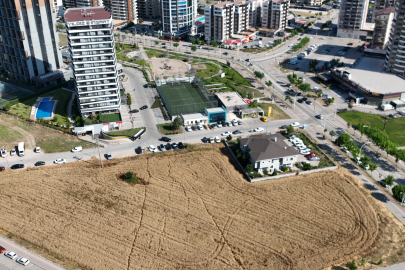 Nilüfer'de milyon dolarlık lüks rezidansların tam ortasında kalan buğday tarlasında her yıl hasat yapılıyor