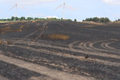 İzmaritten Çıkan Yangın Tarlayı Küle Çevirdi!