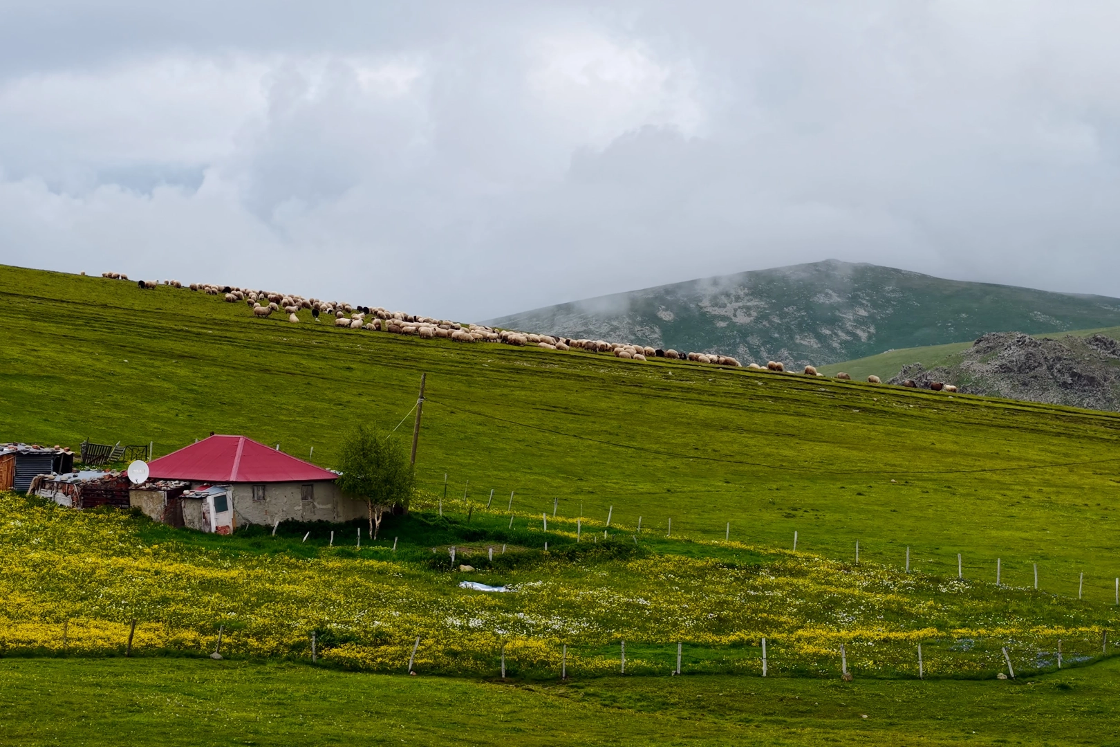 Yaylada görsel şölen! İşte o görüntüler!