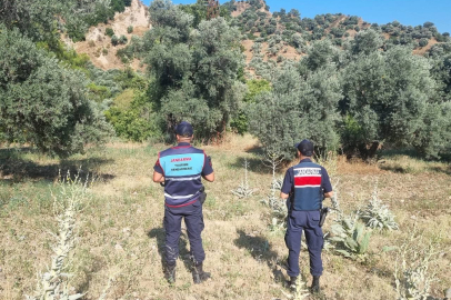 Yasağı Deldi Jandarma Affetmedi!