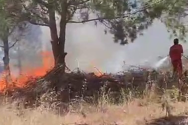 Nilüfer'de çıkan yangına havadan ve karadan müdahale ediliyor