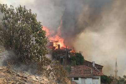 Yaşlı Adamın Hazin Sonu Yürekleri Paramparça Etti!