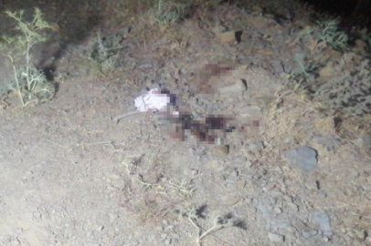 Jandarma Ekiplerini Çileden Çıkardı!