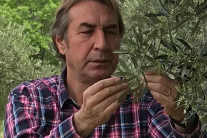 Bu Fiyatlardan Kaçmaz...