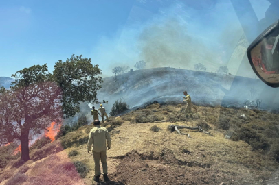 Çanakkale'de Orman Yangını