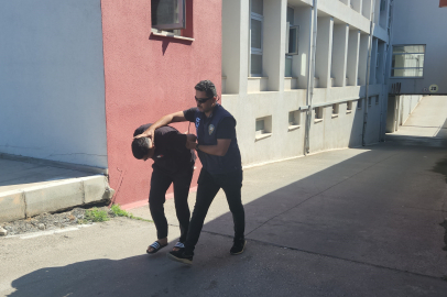 ‘Sazan sarmalı' dolandırıcılığı! Olay, tapuda ortaya çıktı