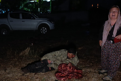 Antalya'da Aslan Saldırısı: Çiftçi Hayatını Zor Kurtardı