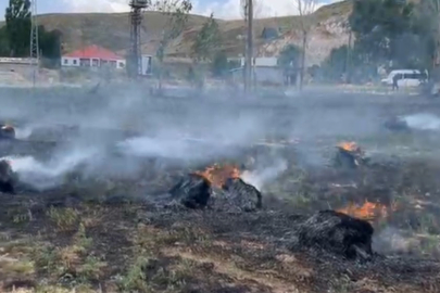 Hakkari'de Ot Yangını: Bin 500 Bağ Ot Kül Oldu