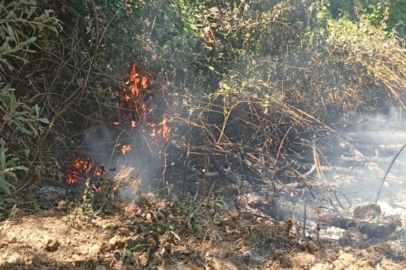 İznik’te Orman Yangını