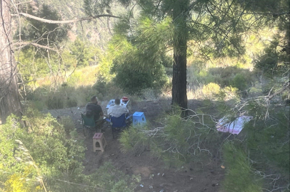 Ormanda piknik yapan 4 şahsa yasal işlem yapıldı